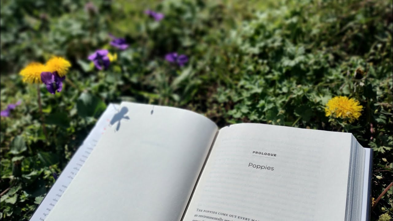 I Love Spring Booktag ☘️🌷📚💚