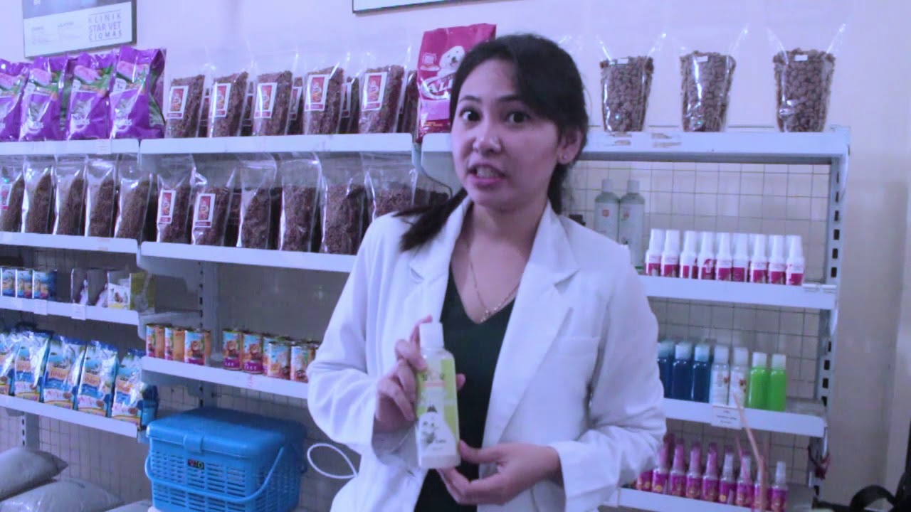 CARA MEMANDIKAN KUCING YANG BENAR BERSAMA drh Siti Gusti Ningrum (drh Praktisi Klinik Starvet Bogor)