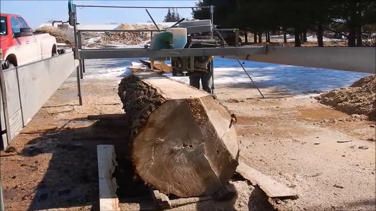 Tapered Logs in the Lucas Mill