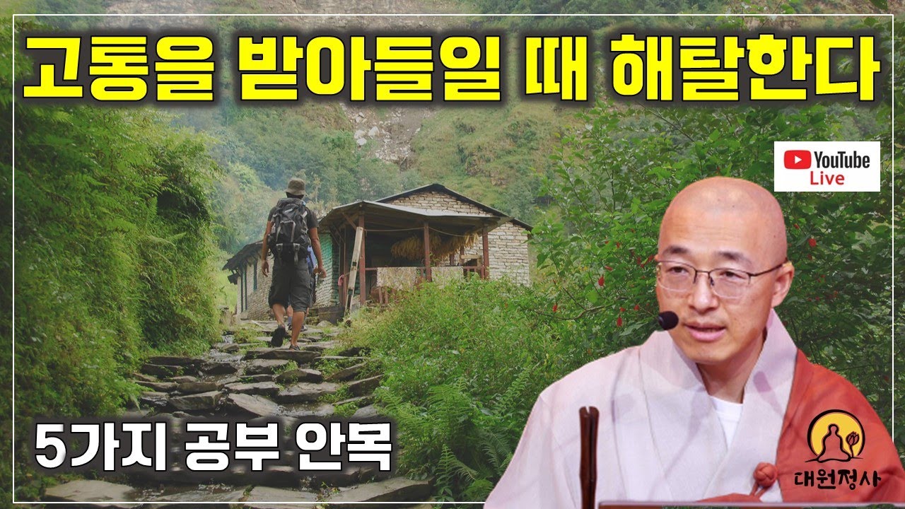 [돈오37] 고통을 받아들일 때 해탈한다, 공부의 단계