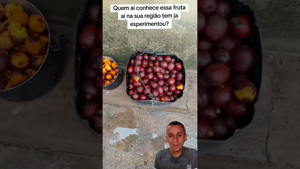 Preparando doce buriti