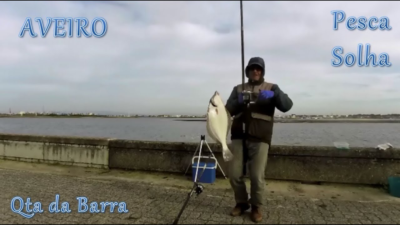 Pesca à solha - Já chegaram!