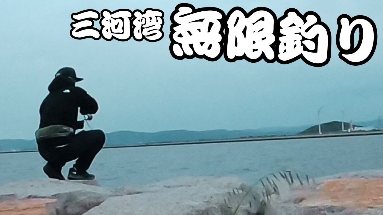 【デイライトゲーム】三河湾で絶対に釣れる釣りをすると・・・