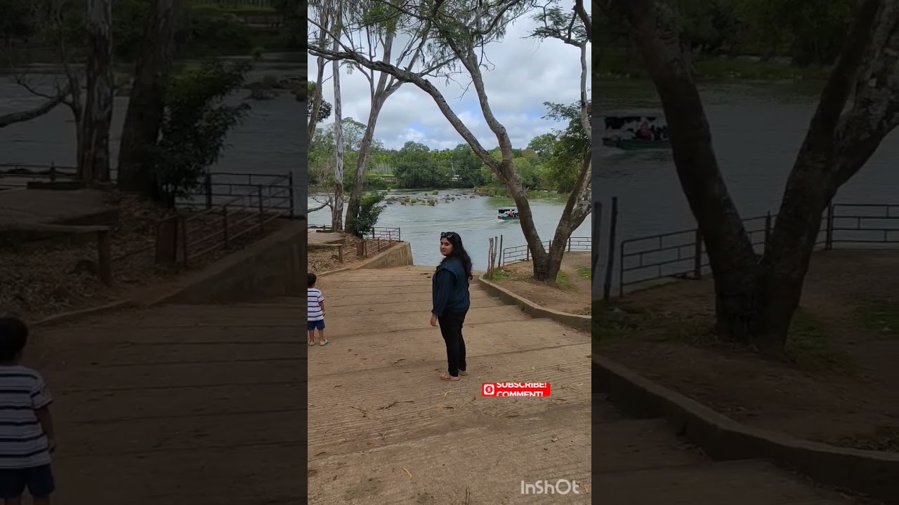 Coorg Elephant Camp Dubbare 