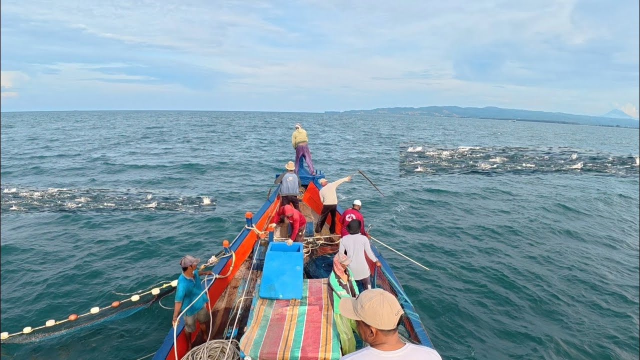 Pukat cincin, Nelayan Indonesia Dapat Banyak Ikan, luar biasa hasil tangkapan nelayan Indonesia
