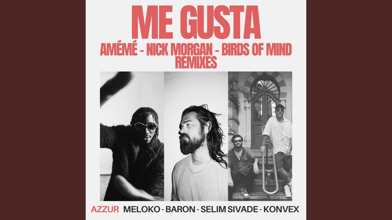 Me Gusta (Birds Of Mind Remix)