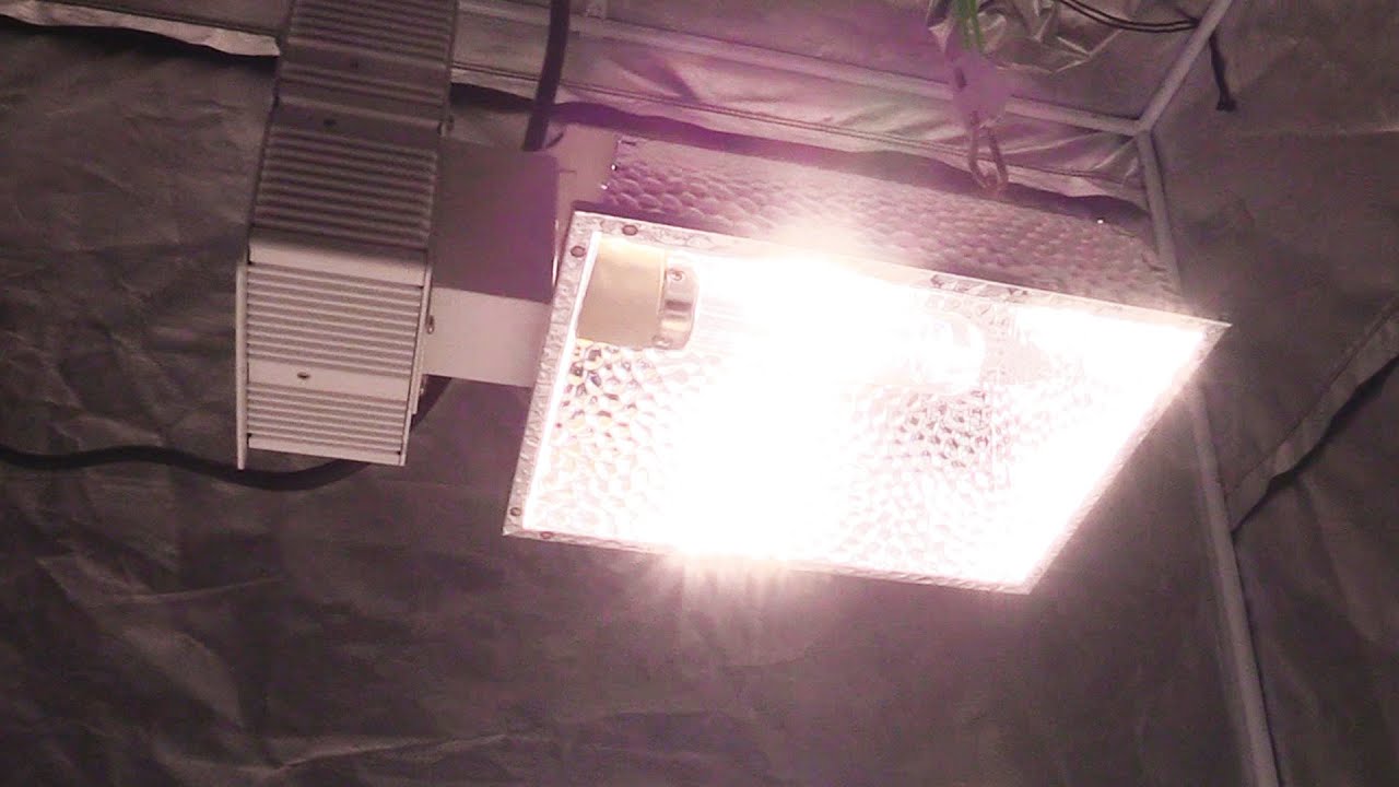 VIVOSUN 315W CMH GROW LIGHT PAR TEST!