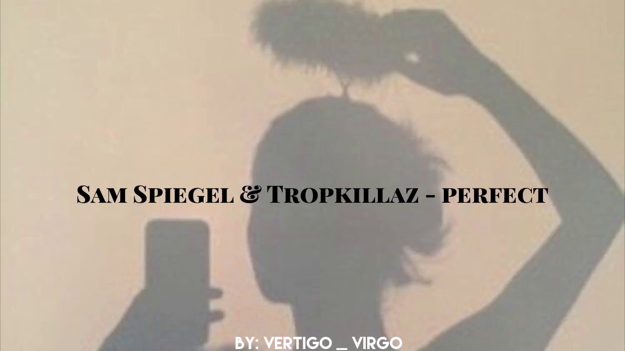 Sam Spiegel & Tropkillaz perfect - slowed
