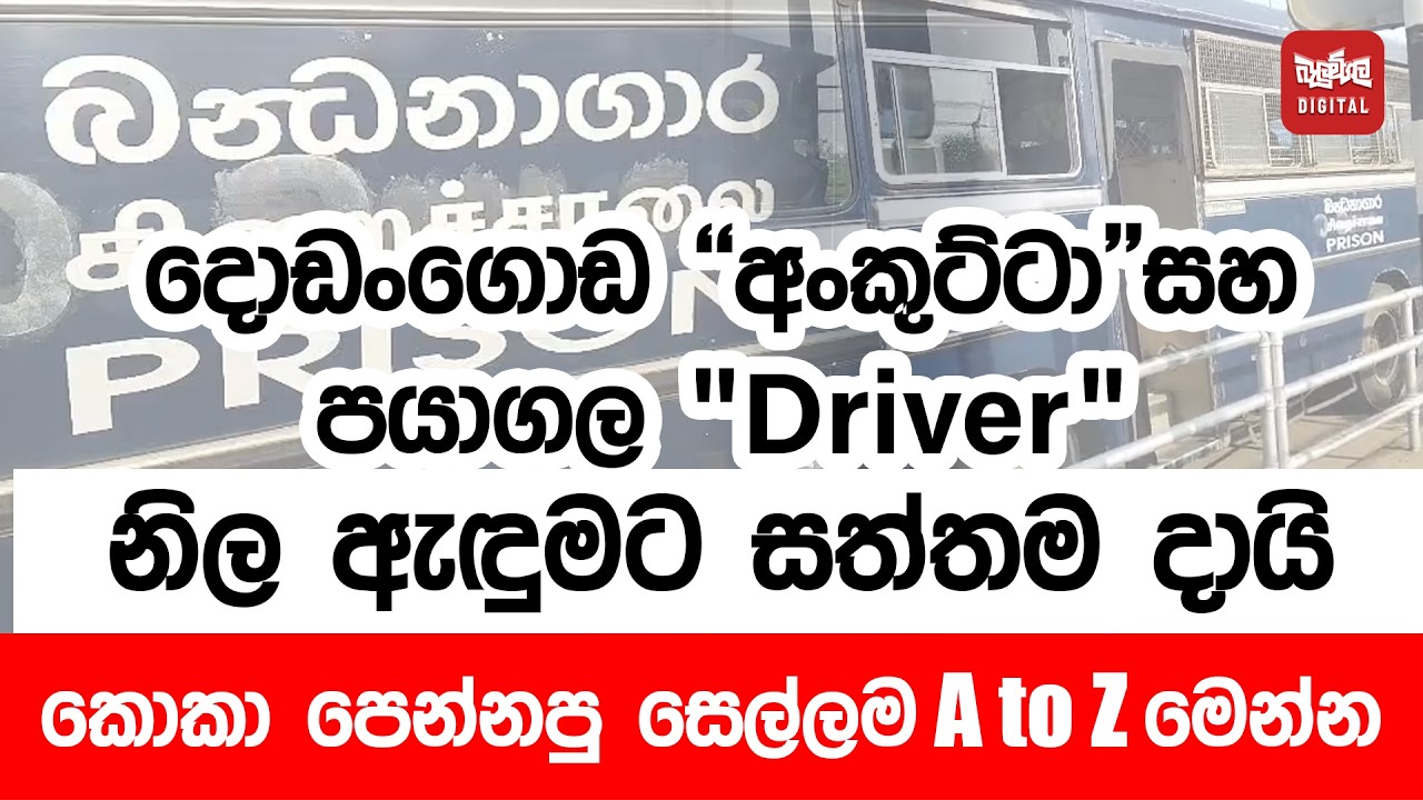 දොඩංගොඩ 