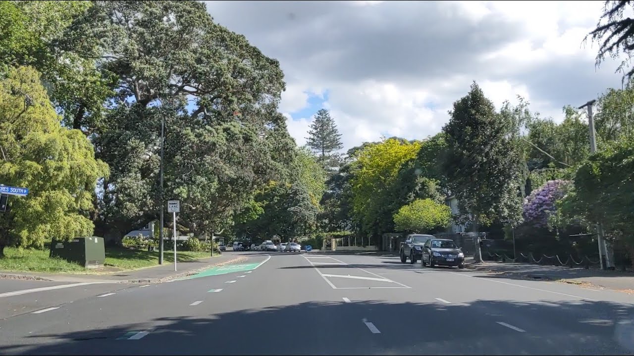 Leafy Auckland Suburbs - Afternoon Drive in Mount Eden 1080p