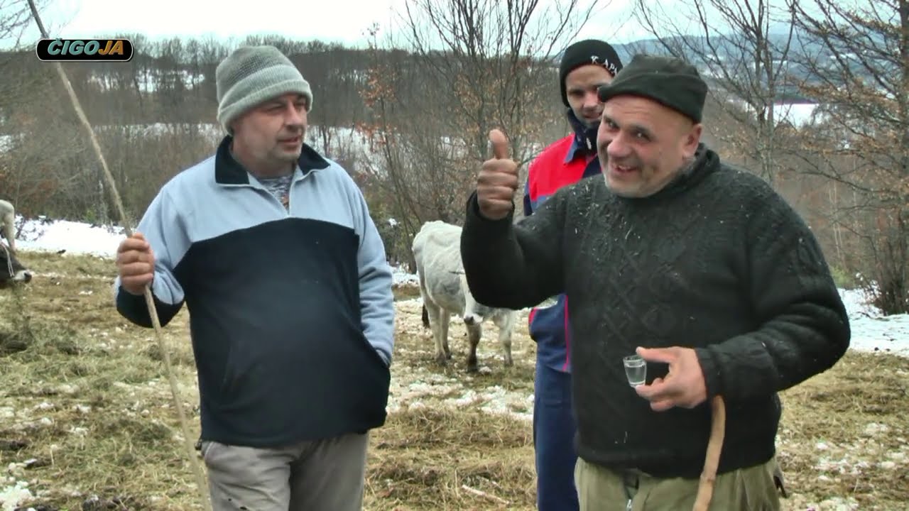 - SAKUPILI PARE ZA MERCEDESA PA KUPILI 10 JUNICA OD ZMAJA SIPOVO 2021