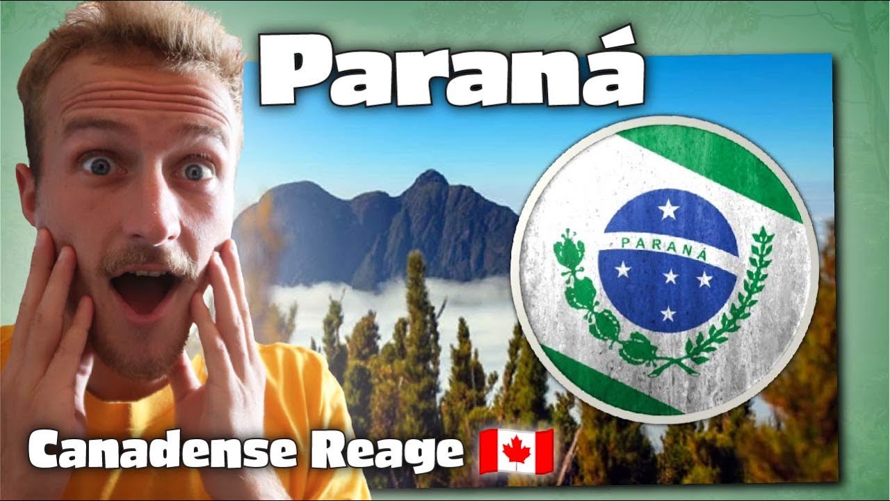 Por que PARANÁ e o Melhor Estado do BRASIL | Canadense Reage 🇨🇦