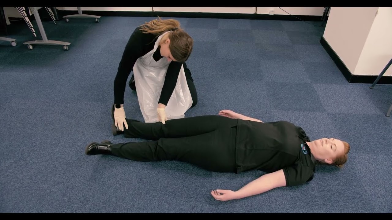 Head-to-Toe Check - 2025