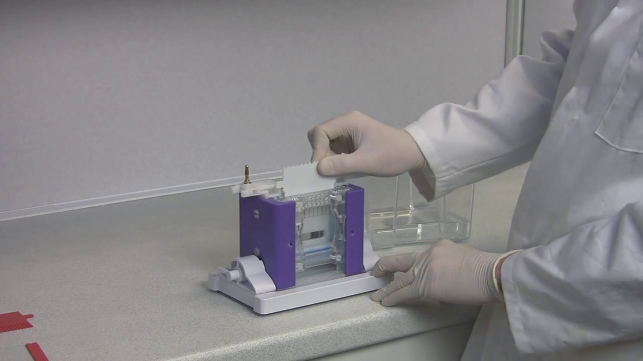 Cleaver Scientific Vertical Electrophoresis