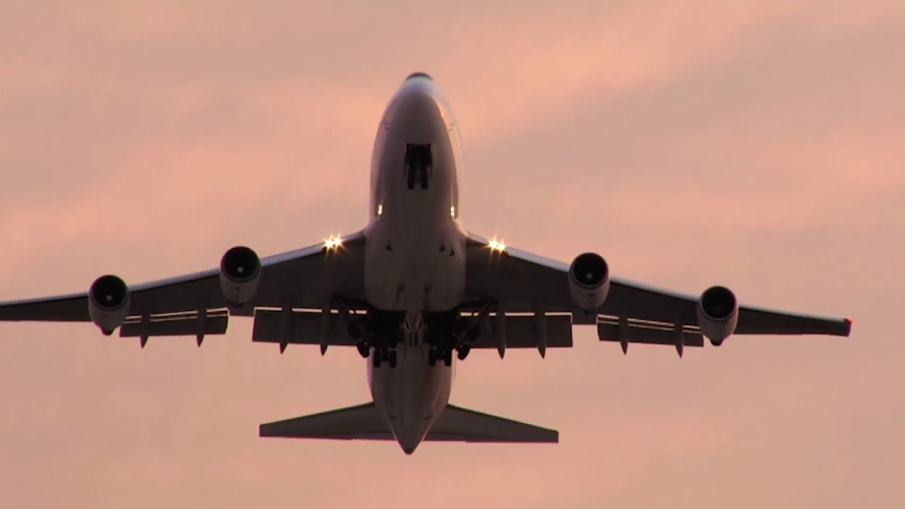 phim hoạt h&igrave;nh mới nhất 2018:thế giới động vật#1