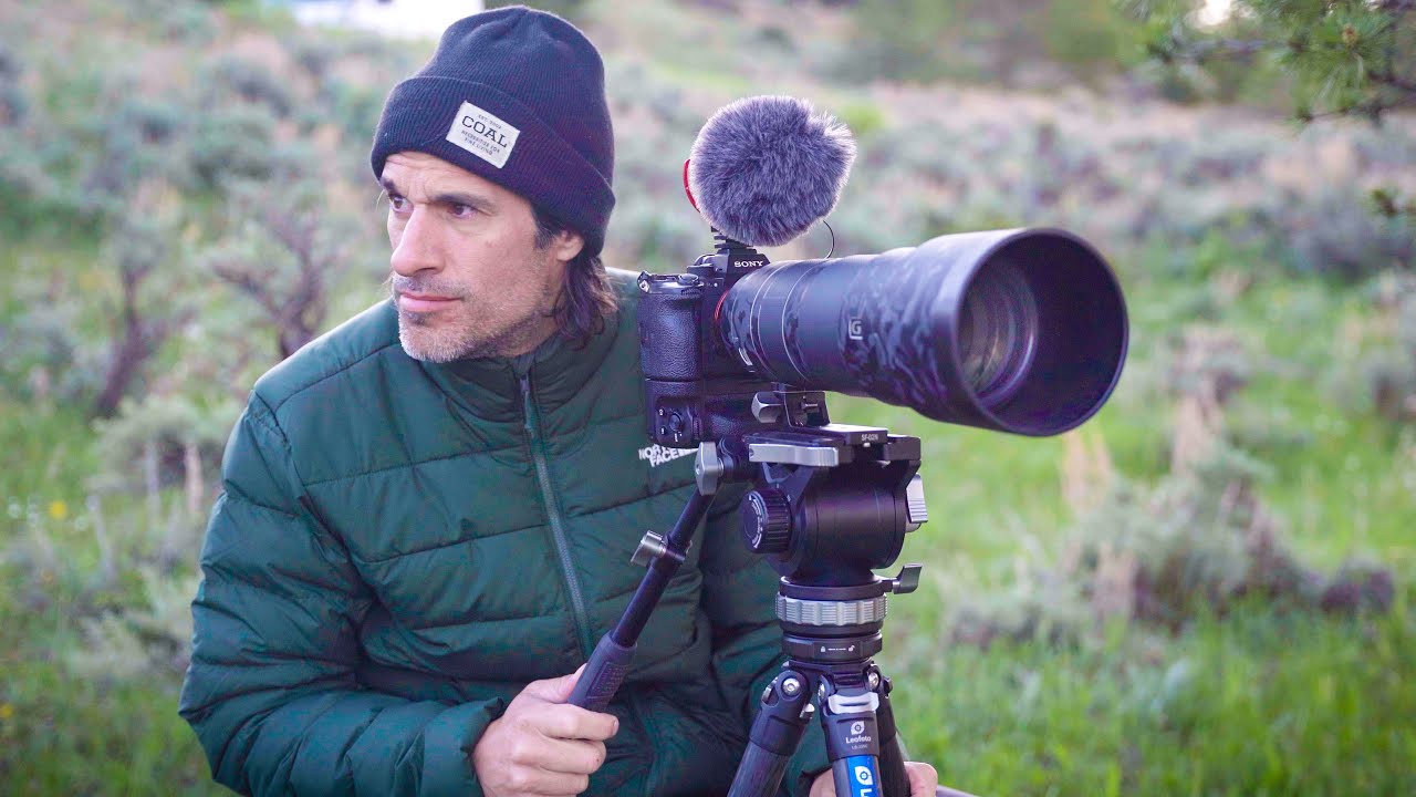 3 Days Looking for Wildlife | Wildlife Photography