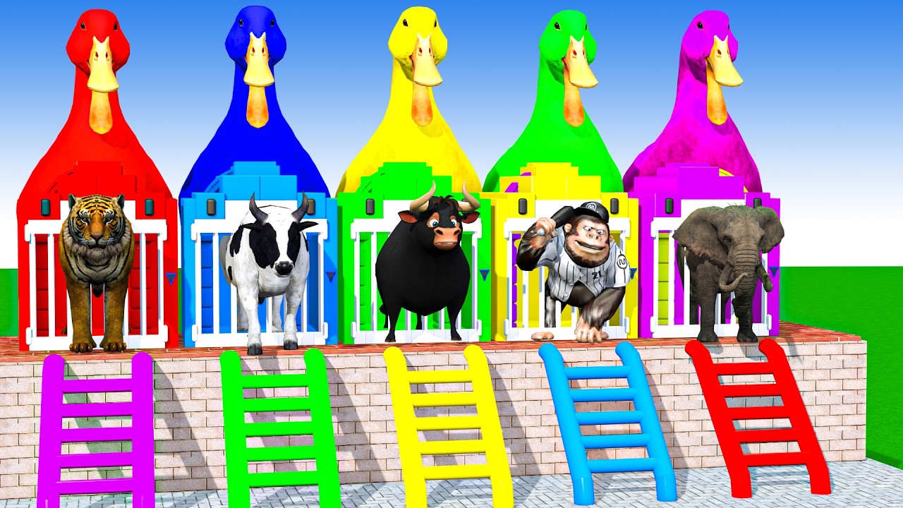 Long Slide Game With Cow Elephant Gorilla Hippopotamus Tiger 3d Animal Game Funny 3d Animals