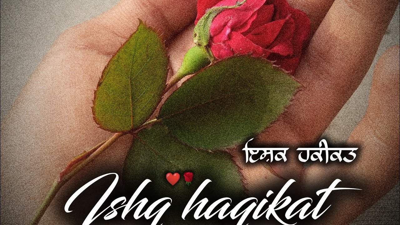 Lost Heer❤️ | Harmohan bhatti | ishq haqikat | sunoai.com |#Valentinesweek #love