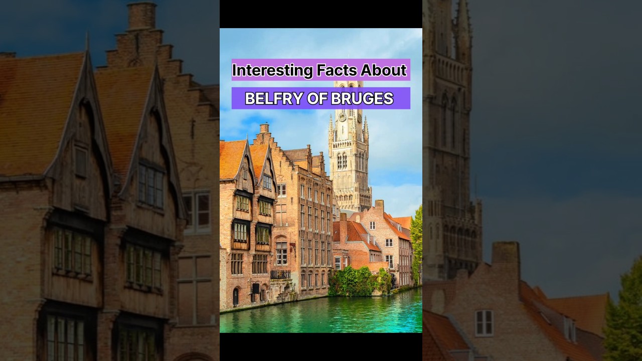 #belfryofbruges #belgium #explorebelgium #interestingfacts #amazingfacts #medieval #shortsfeed #fact