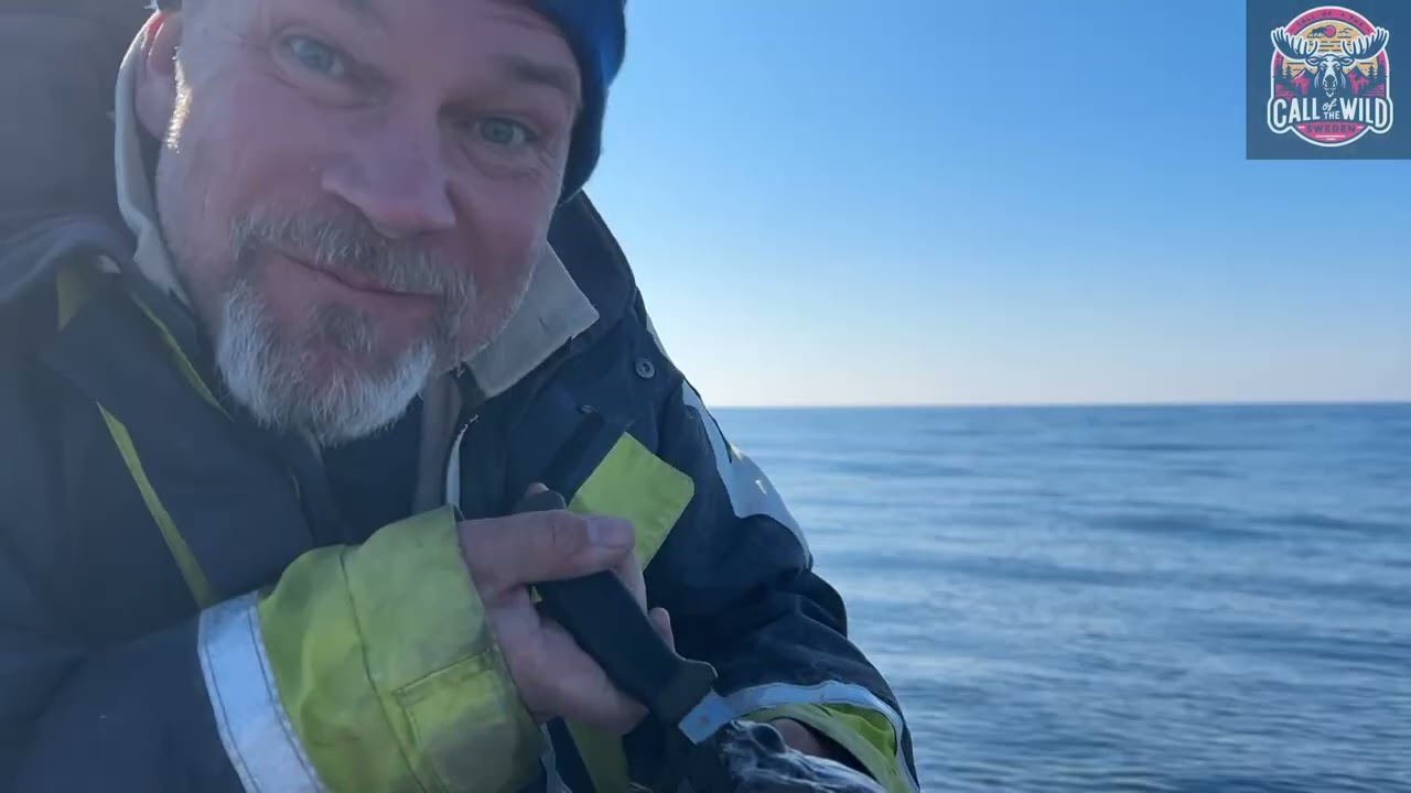 Havsfiske i Norge - Havöysund 2025