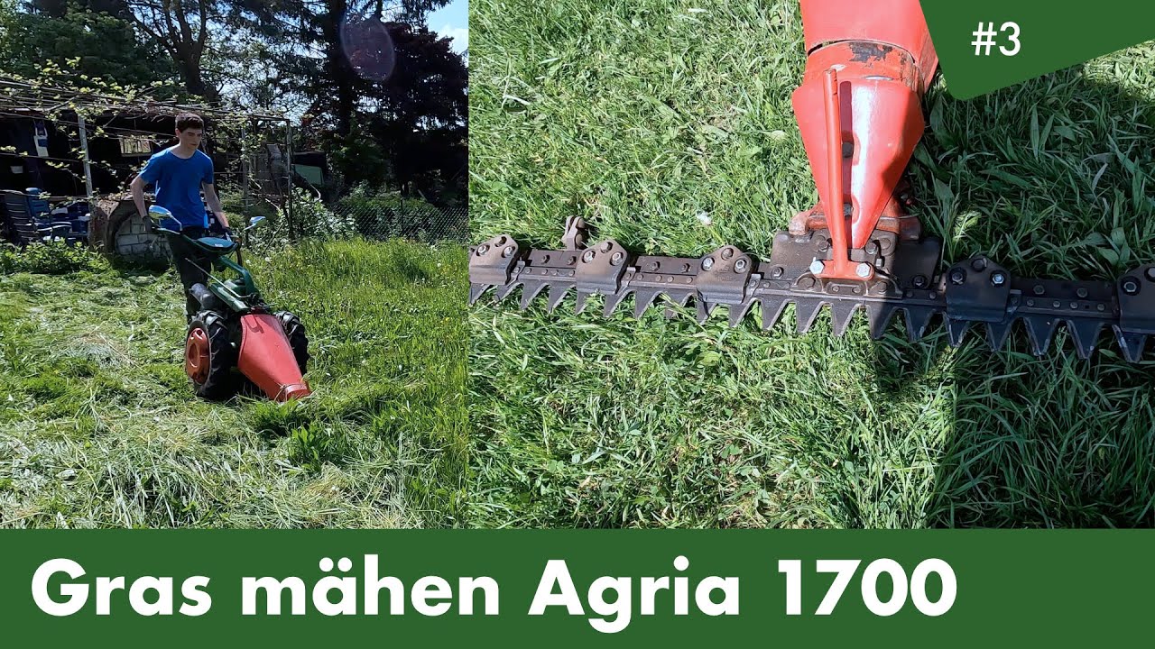 Wiese mähen mit Agria 1700 Balkenmäher
