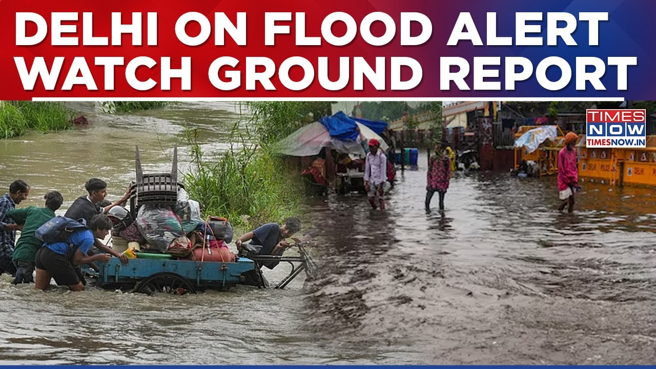Delhi Rain Update: Yamuna Swells, Crosses Danger Mark | Downpour Batters Noida - Watch Ground Report
