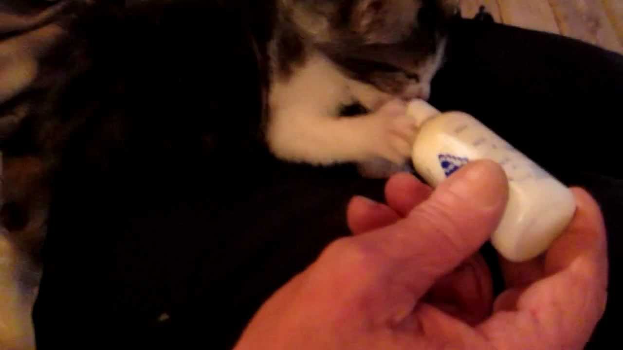 Feeding Time with Johnny