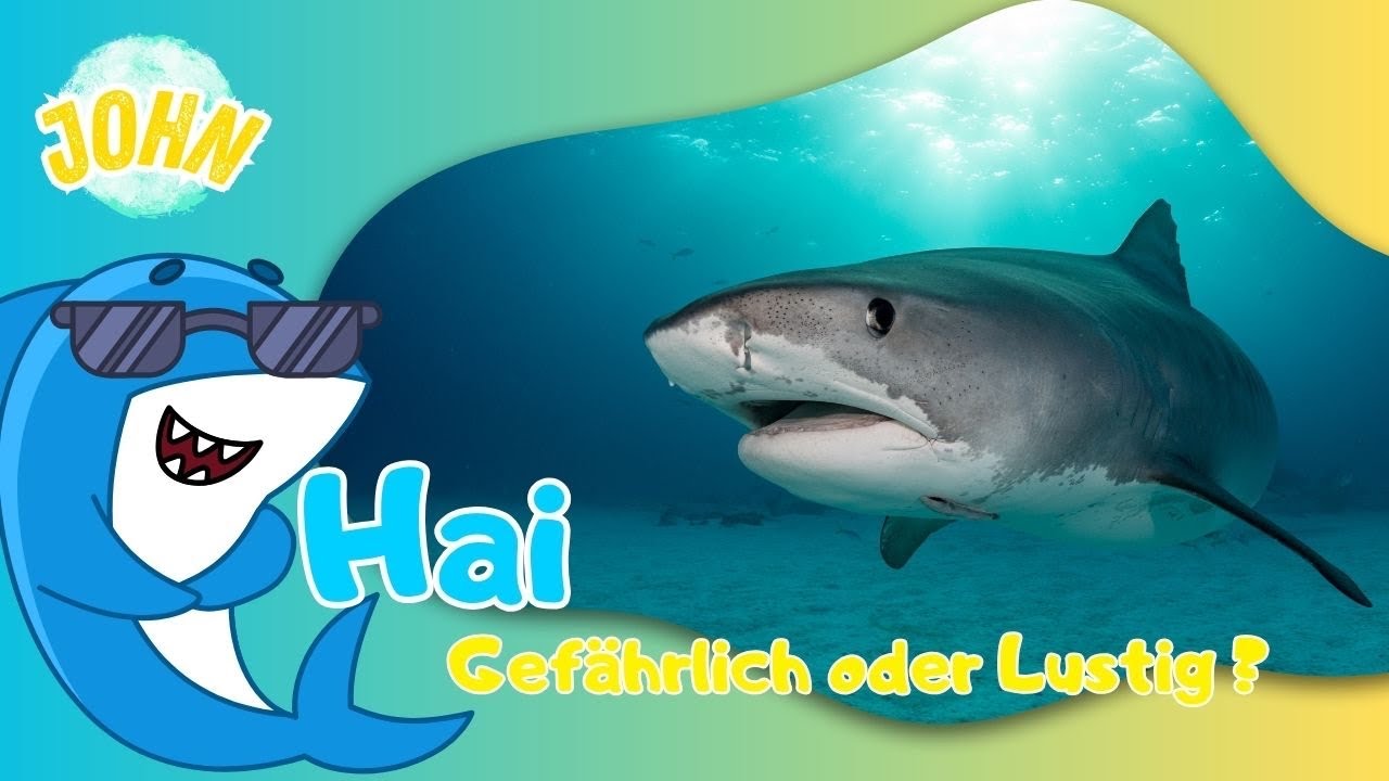 Einfach erkl&auml;rt! 🦈 &bdquo;Haie f&uuml;r Kinder &ndash; die spannendsten Fakten!&ldquo;