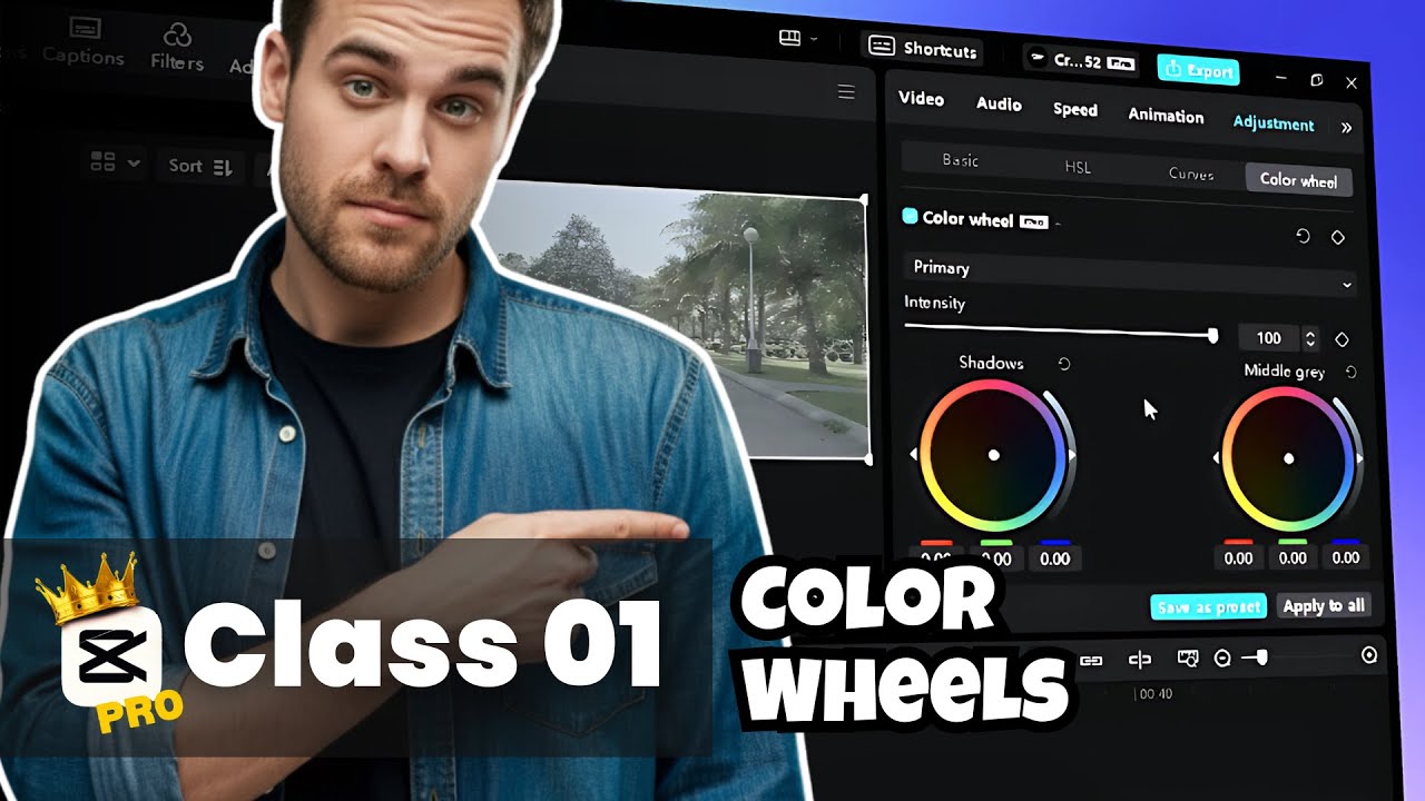 The Ultimate Guide to Using Color Wheels | Color Wheels in CapCut PC