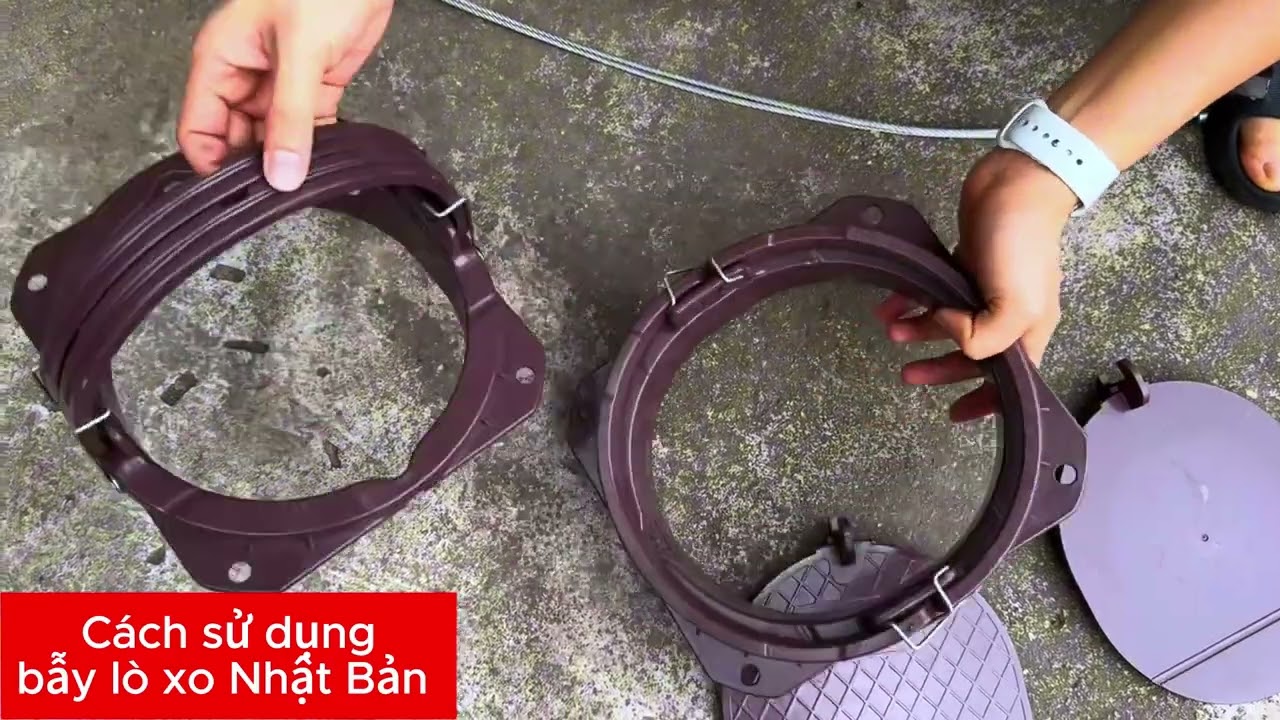 Cách sử dụng bẫy lò xo Nhật Bản
