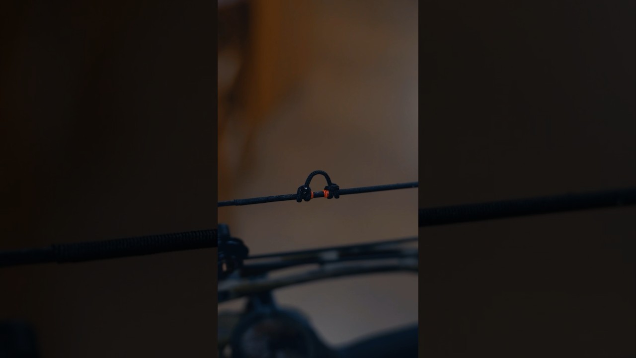 How to Tie a D-Loop #archery #bow #bowhunting #hoytarchery #hunting #deerhunting #outdoors #bowbuild