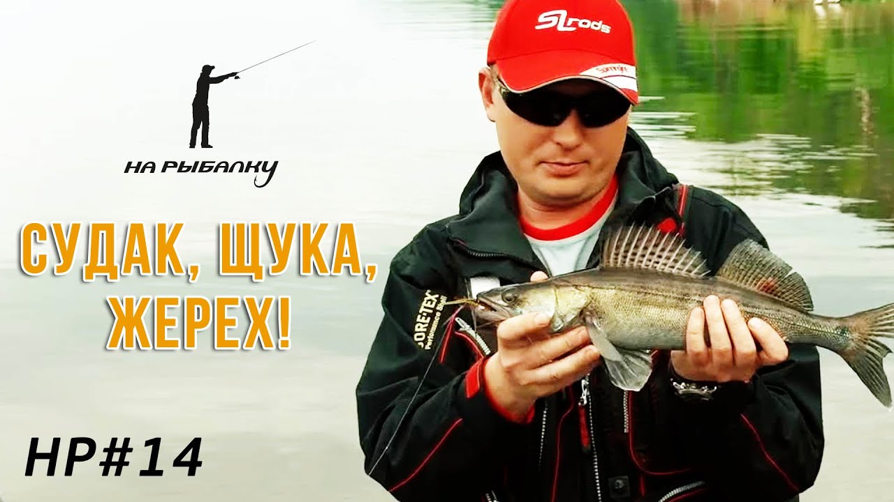 Судак на Drop shot, щука и жерех на Чебоксарке: #НР14