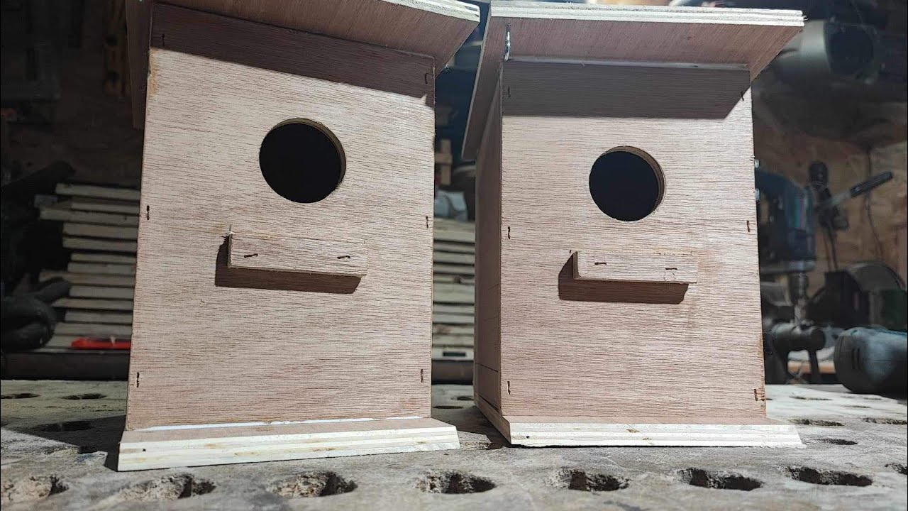 Le printemps arrive je fabrique des maisons à oiseaux