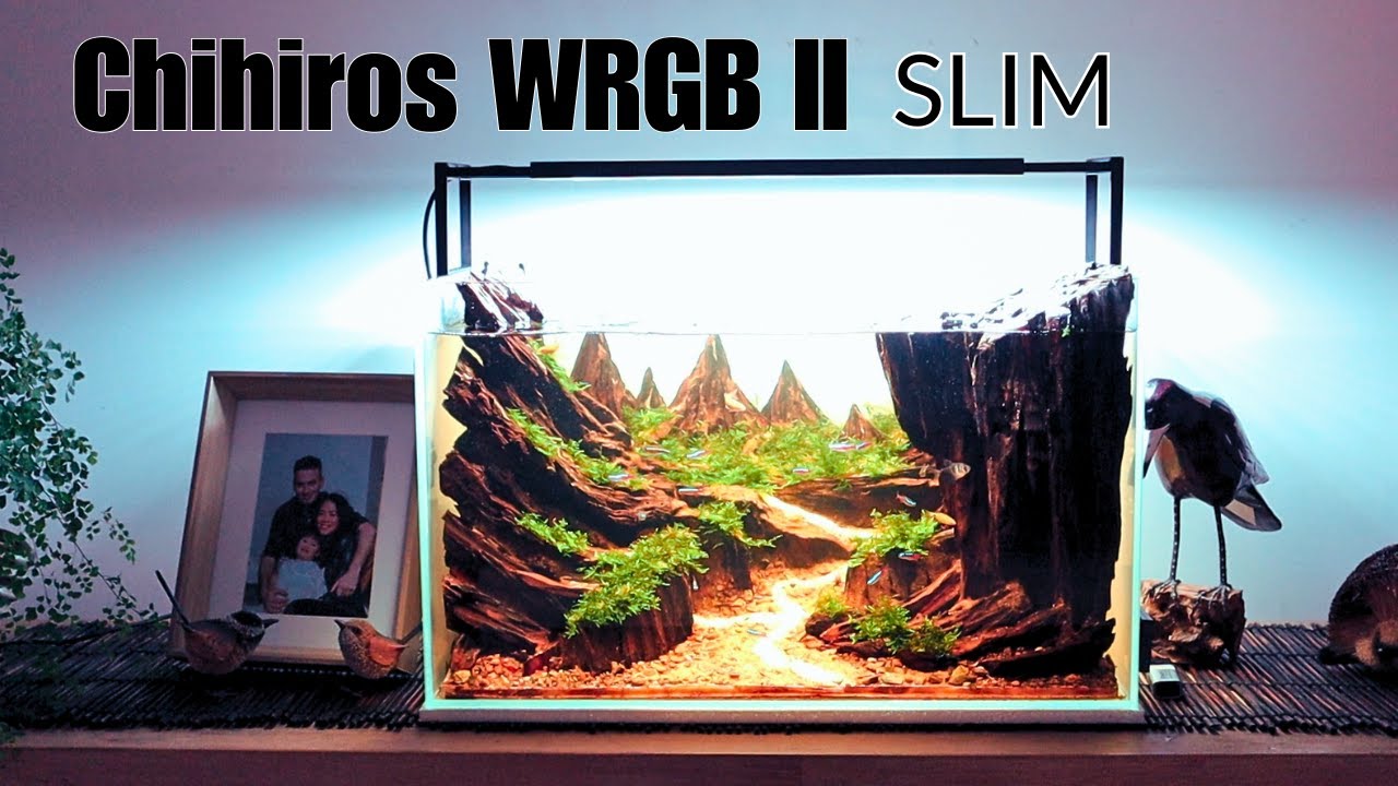 Обзор светильника Chihiros WRGB2 — ваш аквариум будет выглядеть скучно без него.