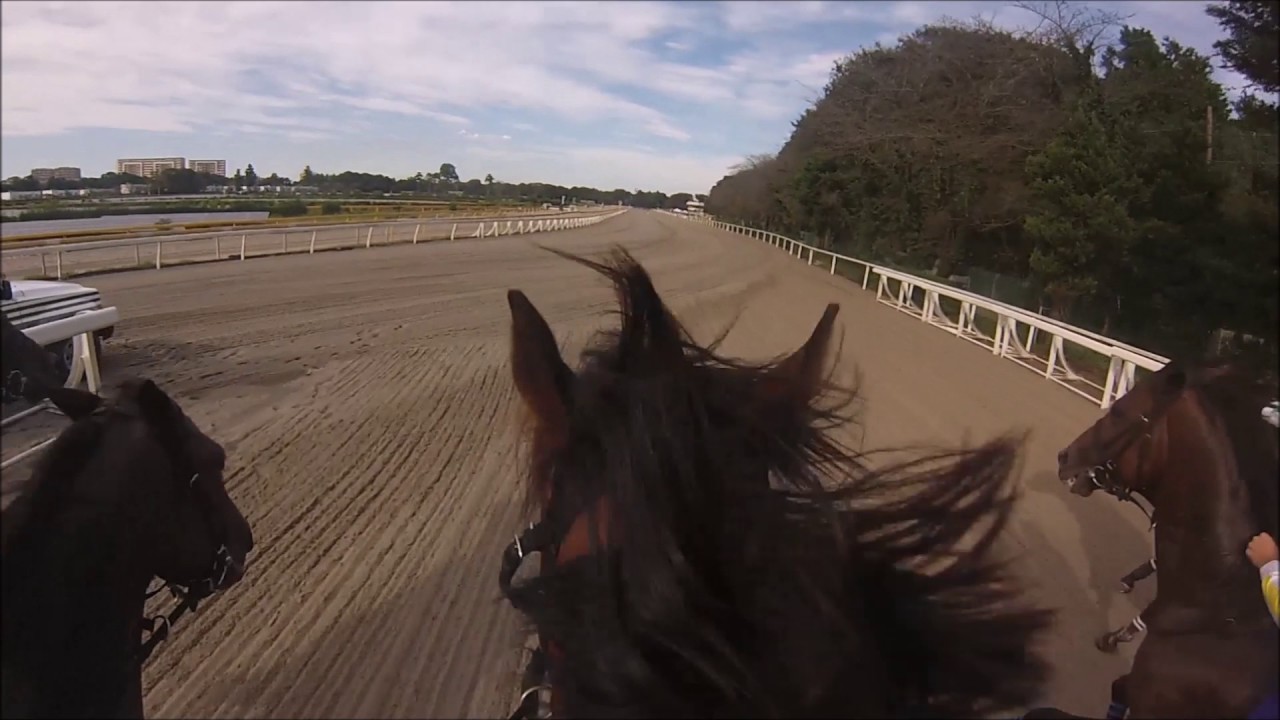 騎手課程３３期生　第２回模擬レース　吉田隼人騎手　ヘルメットカメラ