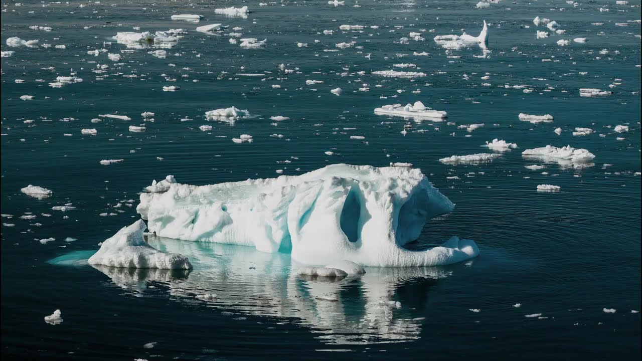 Antarctica Cruise with HX - December 2024
