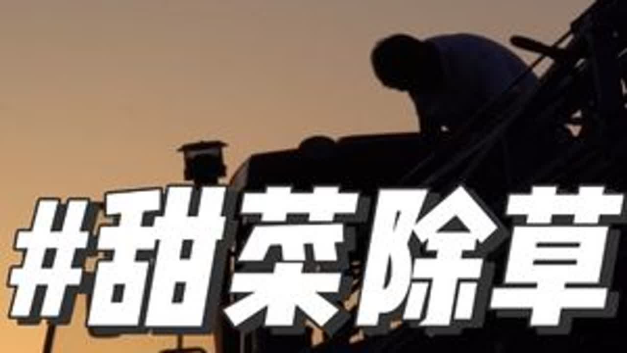 2024年的第一个夜班，万事俱备只欠东风？ 目前我们种植的甜菜已经出苗，我们将采用苗后除草技术，让我们拭目以待他它的效果吧！#现代农业机械 #春耕大势 #农业 #三农
