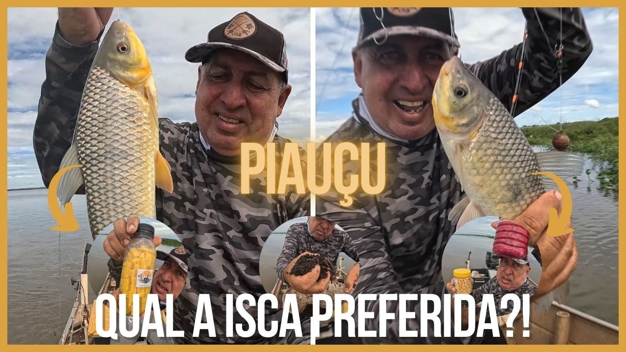 QUAL A ISCA PREFERIDA DO PIAUÇU?! VIEMOS FAZER O TESTE!