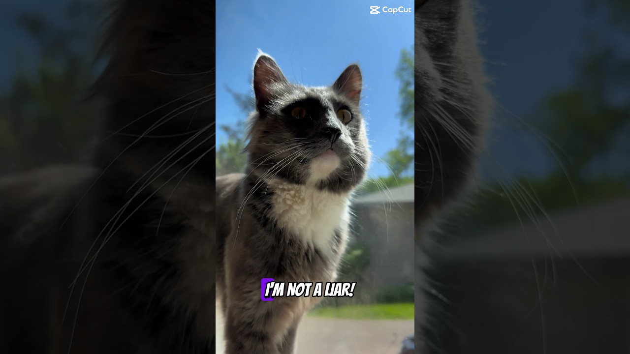 Welcome mat ?? !😆🐻🐻‍❄️🐾