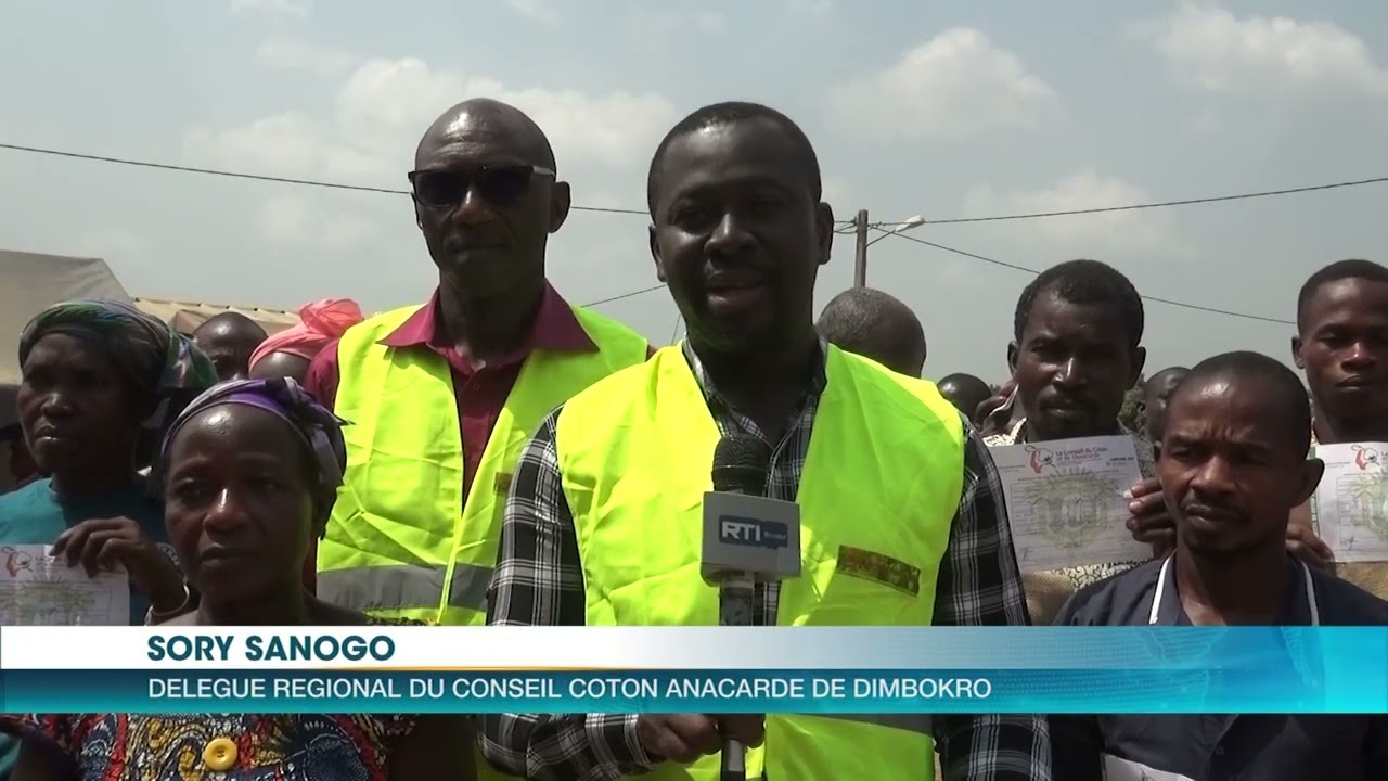 Campagne anarcade 2023 : le conseil coton et anarcade distribue des sacs brousse aux producteurs.