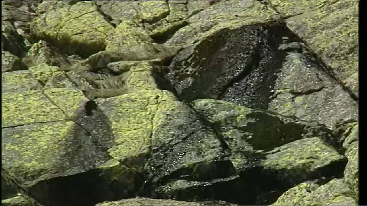 Sierra de Gredos, Historia en piedra (Parte 2/2)