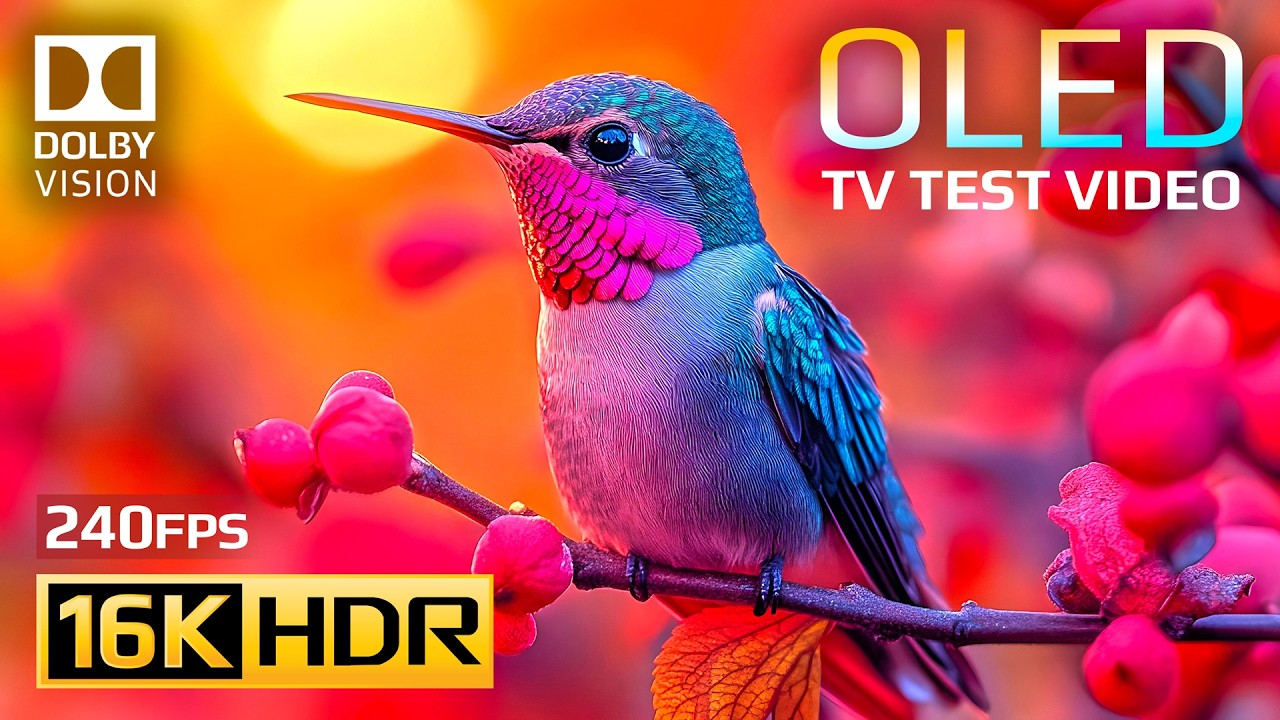 Breathtaking Ultra Clarity | 16K HDR 240fps Dolby Vision For 8K OLED/QLED TV