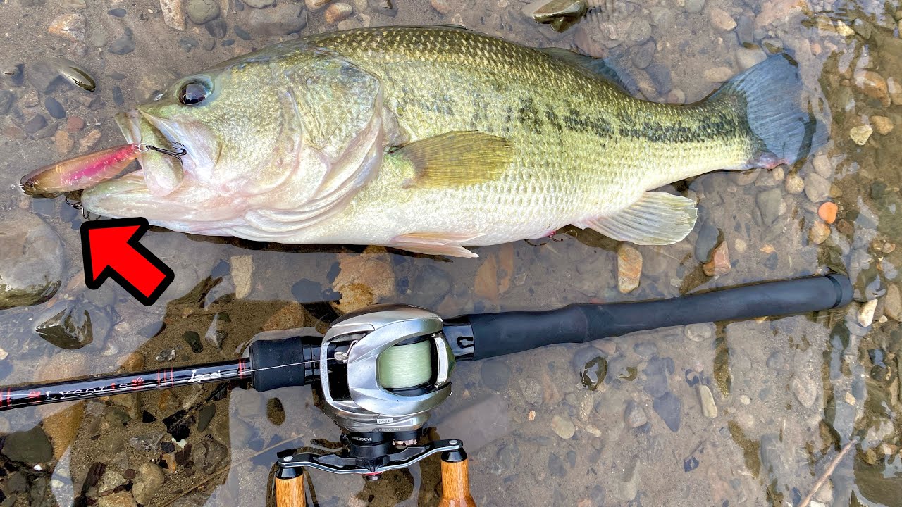【本気バイトの連発】現代のバス釣りでこんな釣れるハードルアーあります？