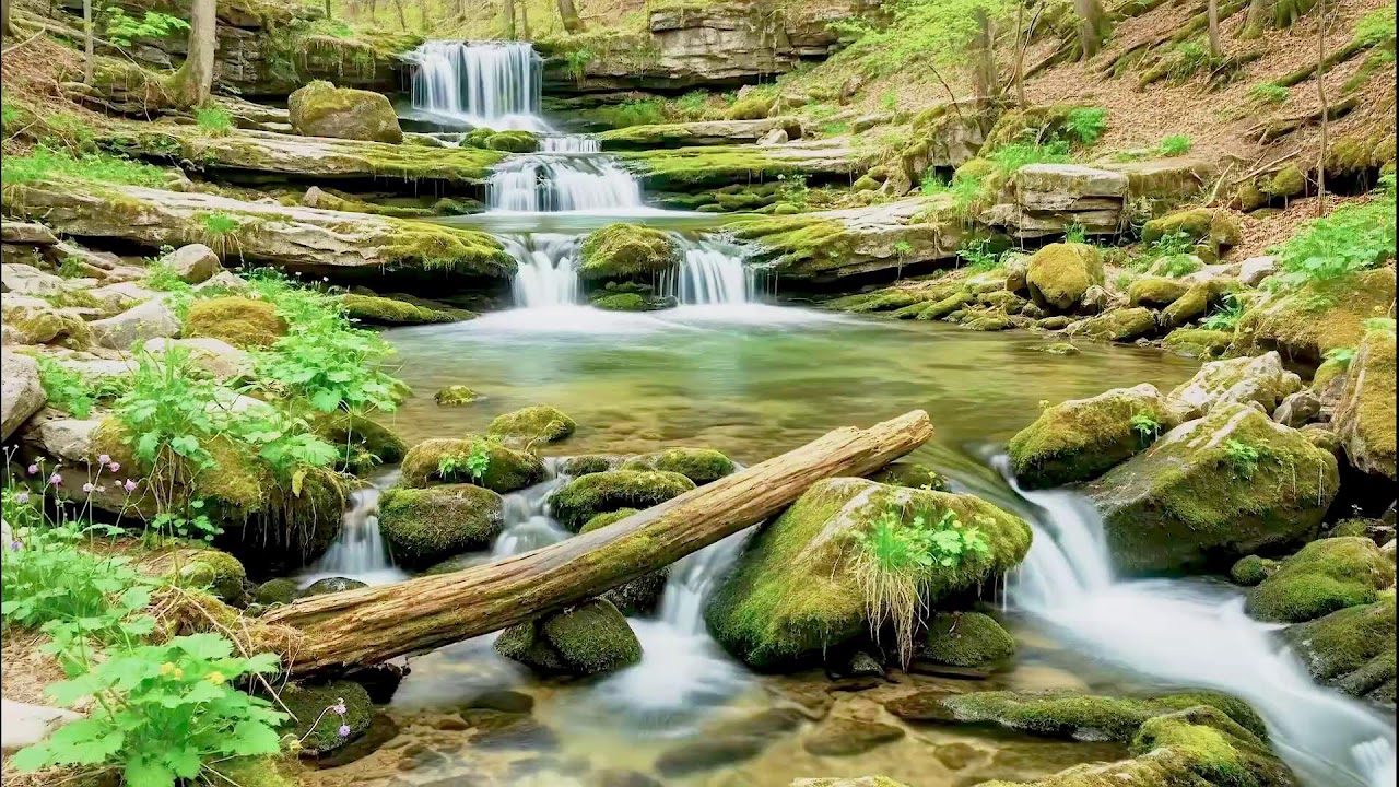 Flowing River Sound for Deep Sleep | Calm Nature Noise for Wellness and Sleep Aid