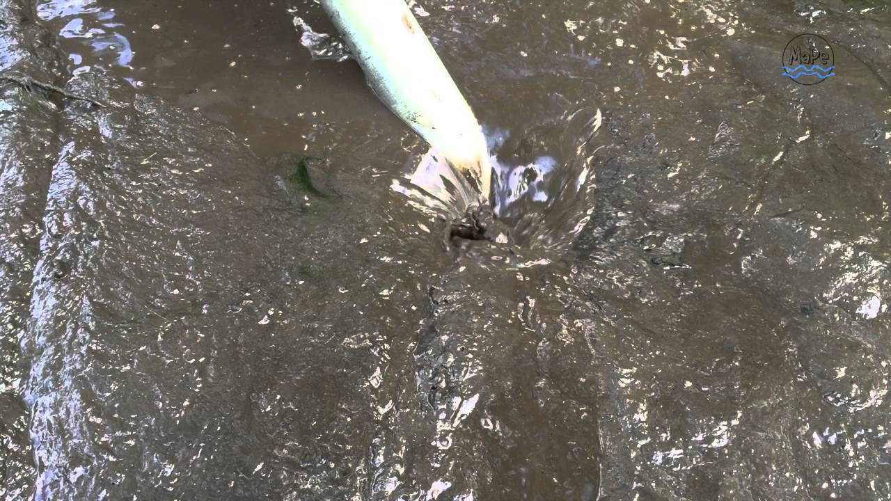 MaPe Teichservice - Teichentschlammung