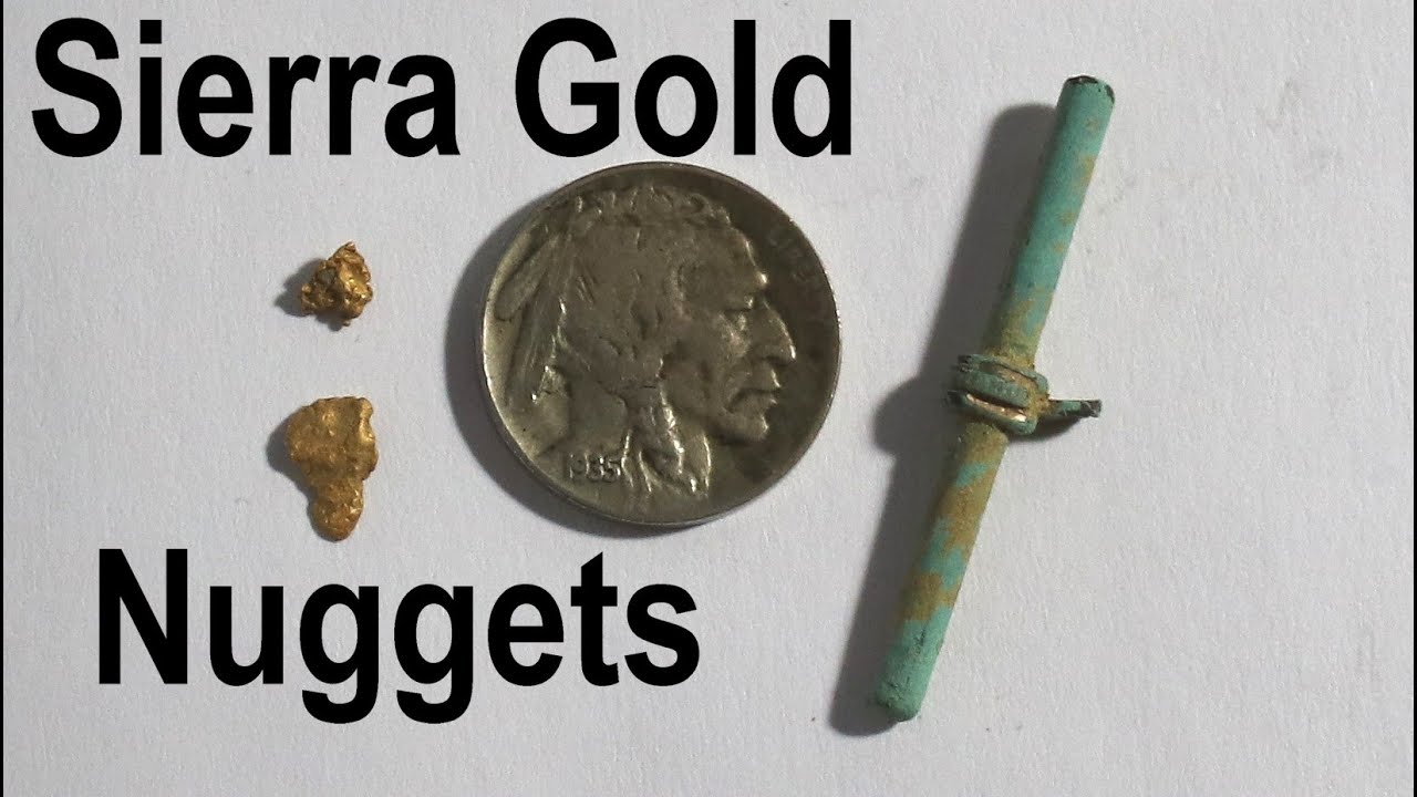 Minelab Master Shares Top Secrets for Detecting Gold Nuggets!