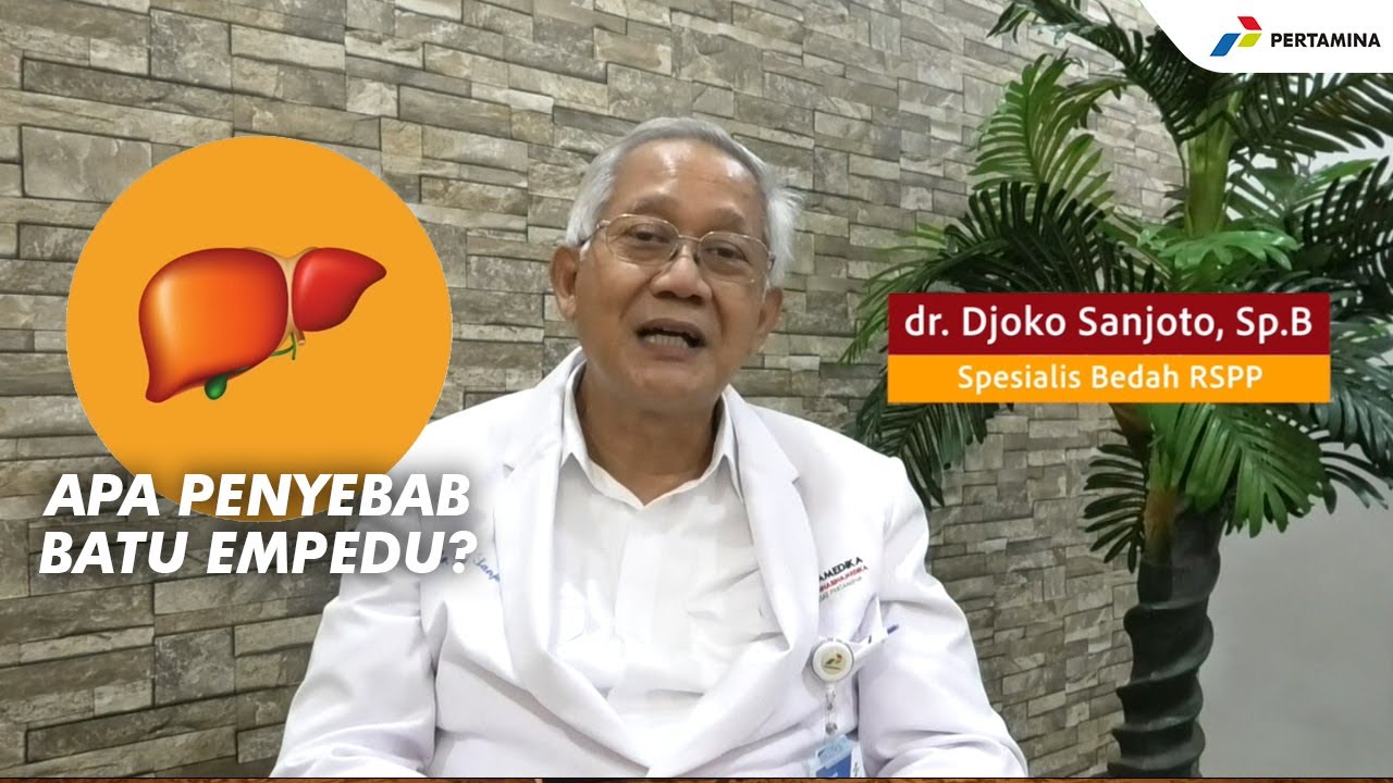 Apa Penyebab Terjadinya Penyakit Batu Empedu?