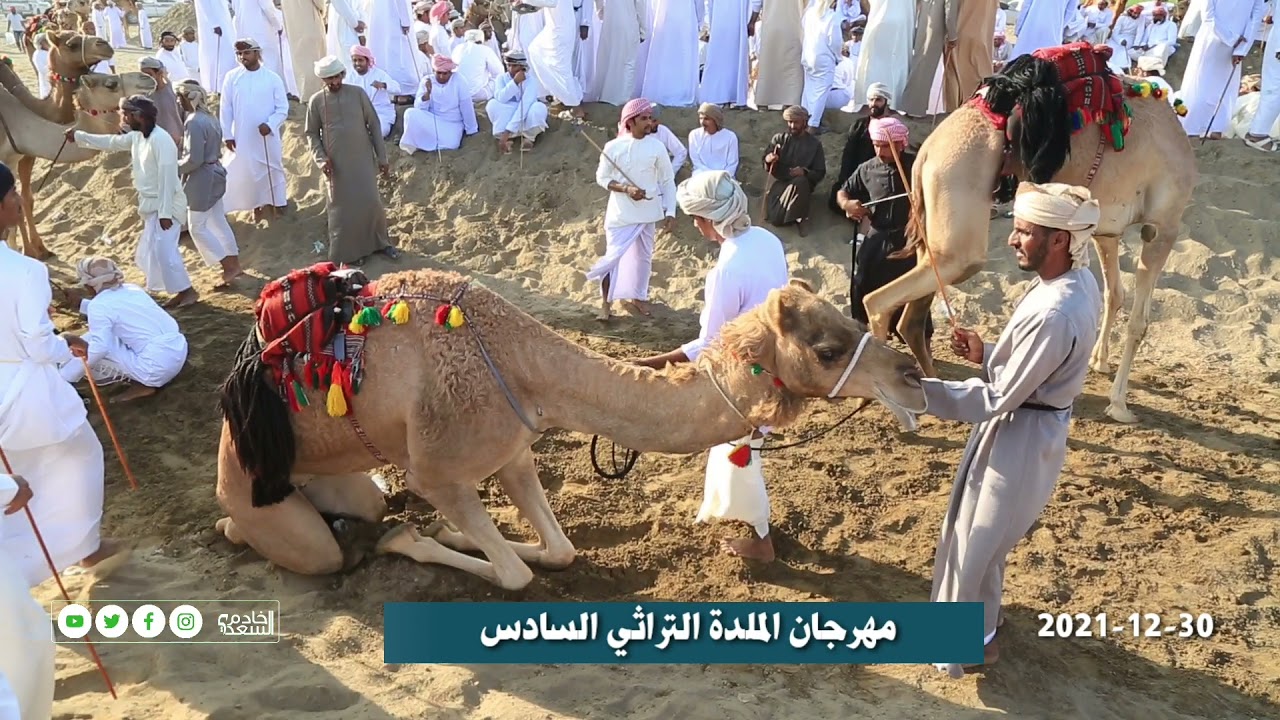 تغطية لمهرجان الملدة الثراثي السادس. خادم السعدي