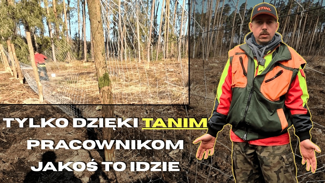 Czasem lepiej MILCZEĆ || Grodzenie upraw w lesie (2/2) || Okiem ZULa
