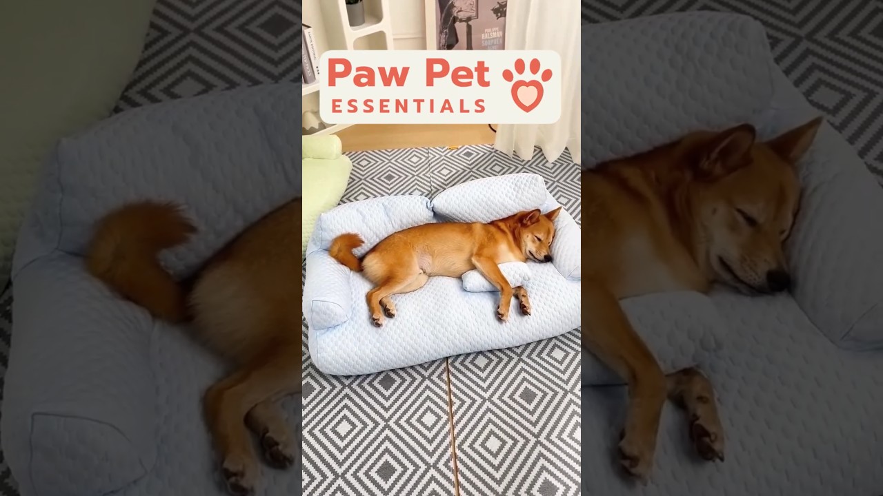 🧊Ultimate Comfort & Cooling Pet Bed by Paw Pet Essentials 🌟Introducing the Paw Pet bed